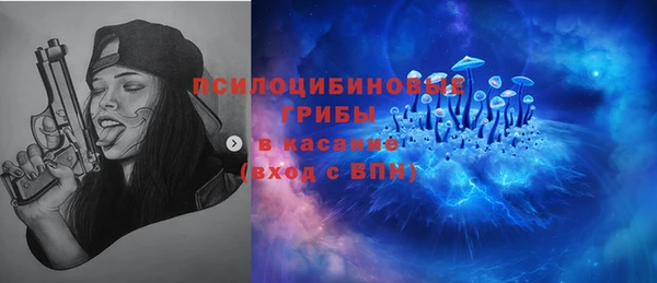 твердый Абаза