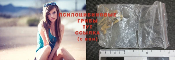 твердый Абаза