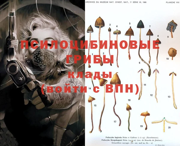 герыч Алексин