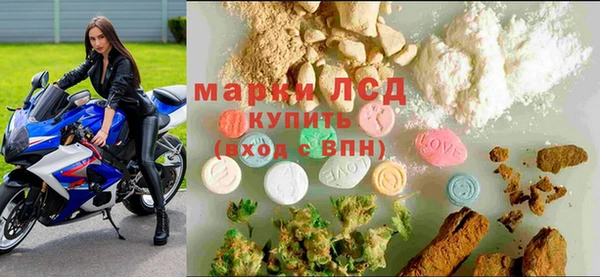 стафф Алзамай