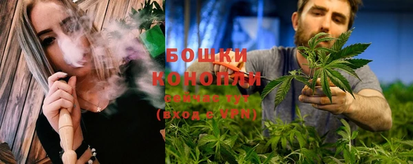 твердый Абаза